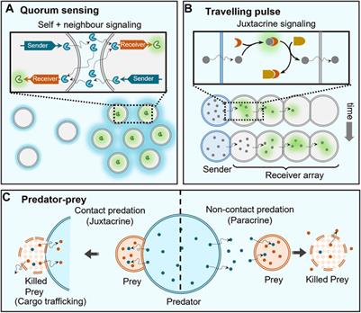 Chemical Communication in Artificial Cells: Basic Concepts, Design and Challenges